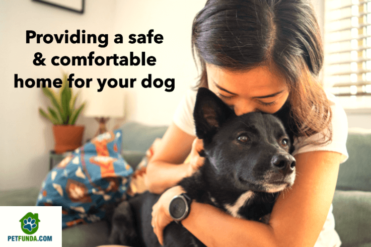 Ten easy ways of Providing a Safe and comfortable home for your dog