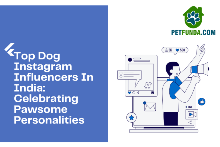 Dog Influencers in India