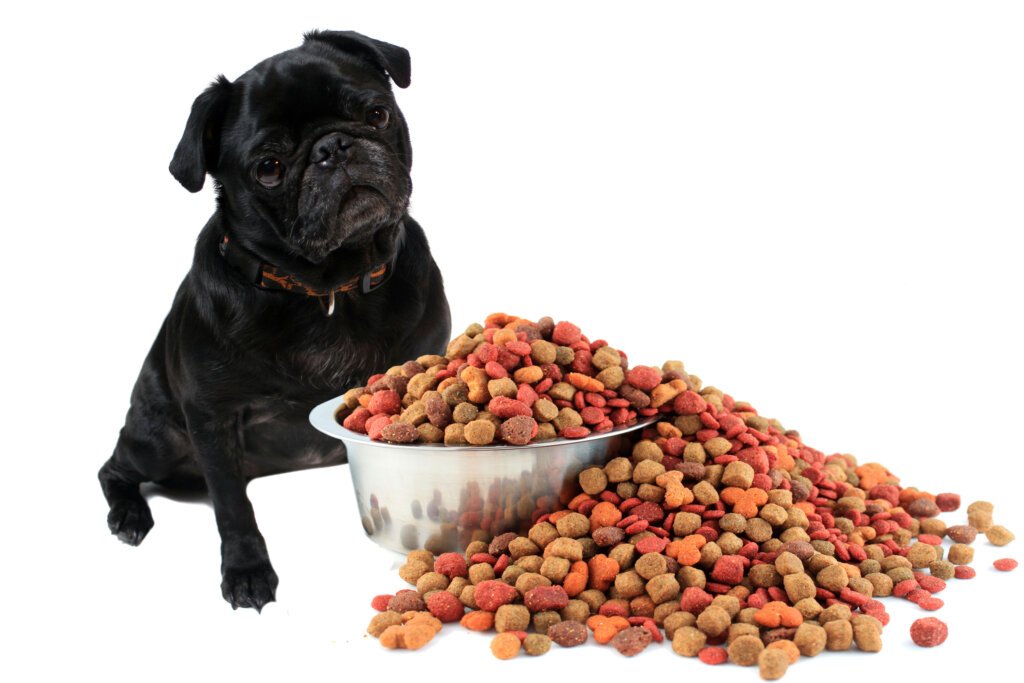 a black dog in front of food bowl which is over filled, which is representation of dog overfeeding