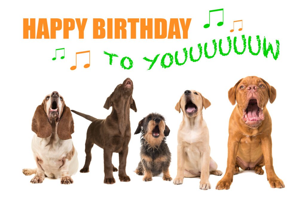 a group of dog howling and happy birthday to you is written trying to represent, they are singing together