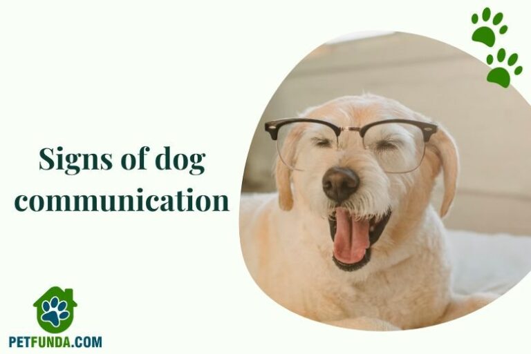 What are the Dog communication signs
