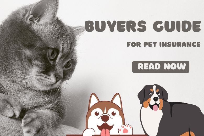Buyer’s Guide to Pet Dog Insurance