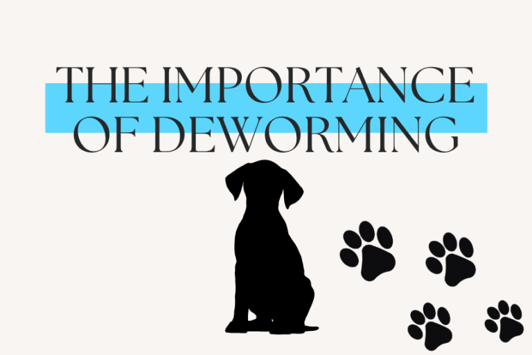The Importance of Deworming in dogs