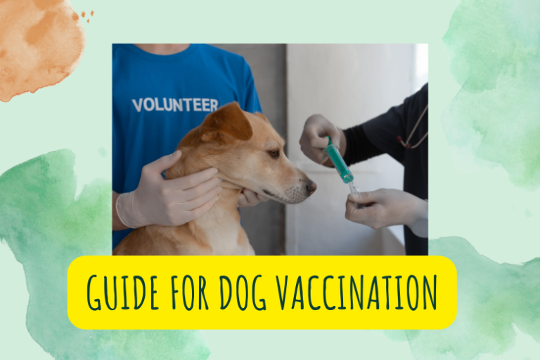 A Comprehensive Guide to Canine Vaccinations