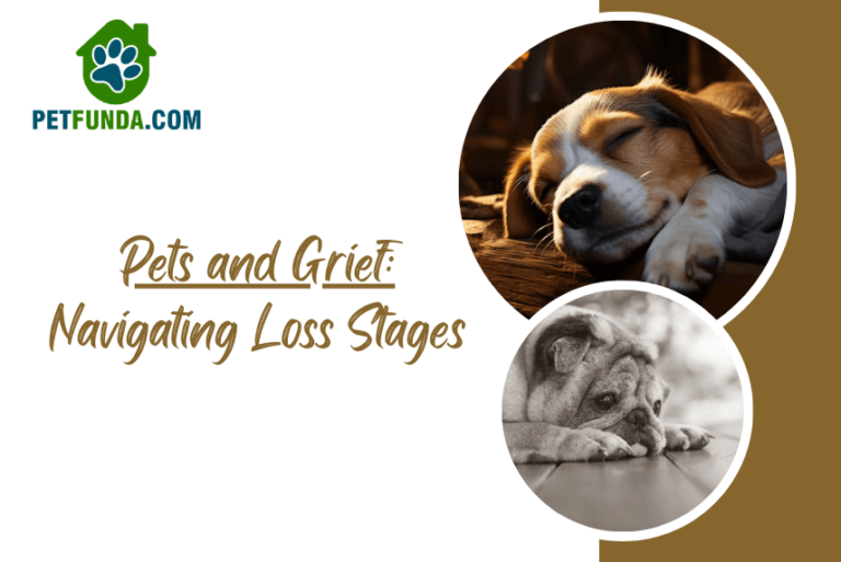 Pet and Grief