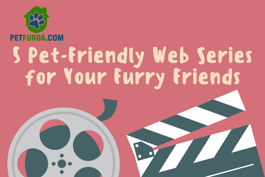 5 Pet-Friendly Web Series for Your Furry Friends