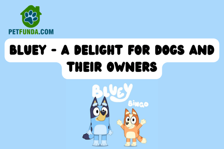 Bluey