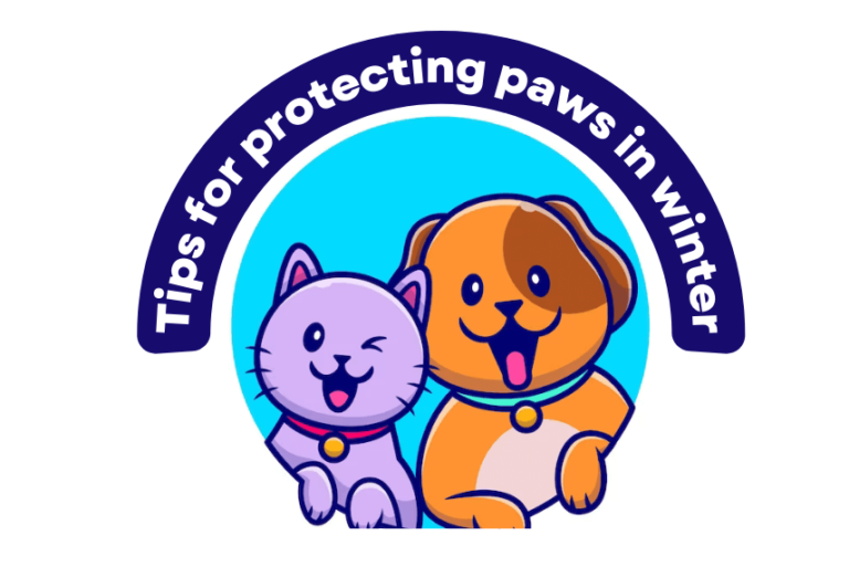 Caring for Your Canine Companion's Paws in Winter