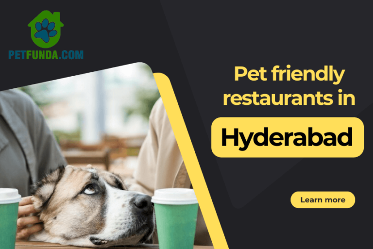 10 Pet-Friendly Restaurants in Hyderabad- Try these Popular Eateries!