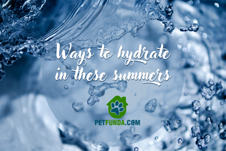 Ways to hydrate in these summers
