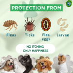 PETFUNDA Neem & Aloe Vera Pet Shampoo for Dogs & Cats benefits