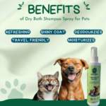 Green Apple Dry Bath Shampoo for benefits