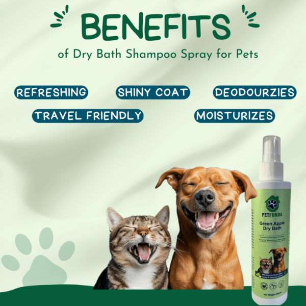 PETFUNDA Green Apple Dry Bath Shampoo for Pets Dogs Cats | Waterless Shampoo Spray for Dogs & Cat with Green Apple, Aloe Vera | Paraben-Free, Cruelty-Free | Refreshing & Shiny Coat, 200ml - Image 3