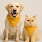 petfunda dog and cat scarf