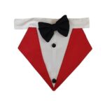 bow and tie at petfunda