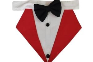 bow and tie at petfunda