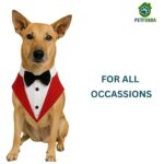 dog bow and tie