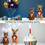 pet bow and tie