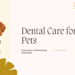 Dental care for pets