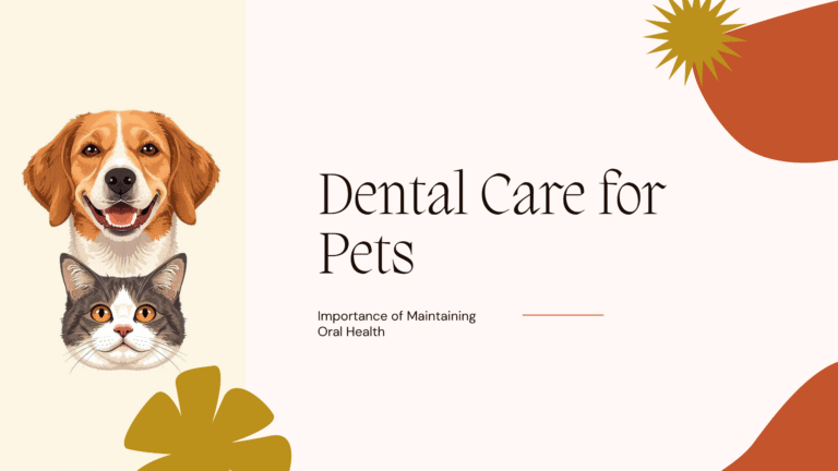 Dental care for pets