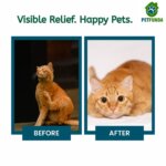 anti tick powder img7