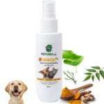 turmeric healing spray img2