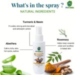 turmeric healing spray img4