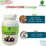 crancare cranberry and d mannose chews img4
