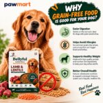 pawmart bellyful gourmet meals lamb lentils img7